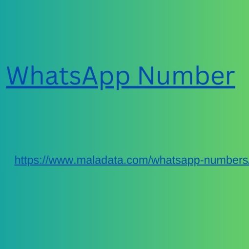 WhatsApp Number