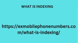 WHAT IS INDEXING