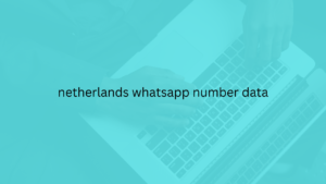 netherlands whatsapp number data